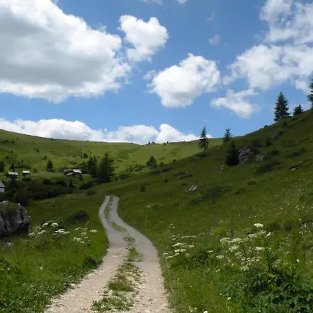 Garni Civetta Selva di Cadore