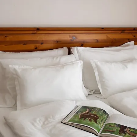 Garni Civetta Ξενοδοχείο Selva di Cadore