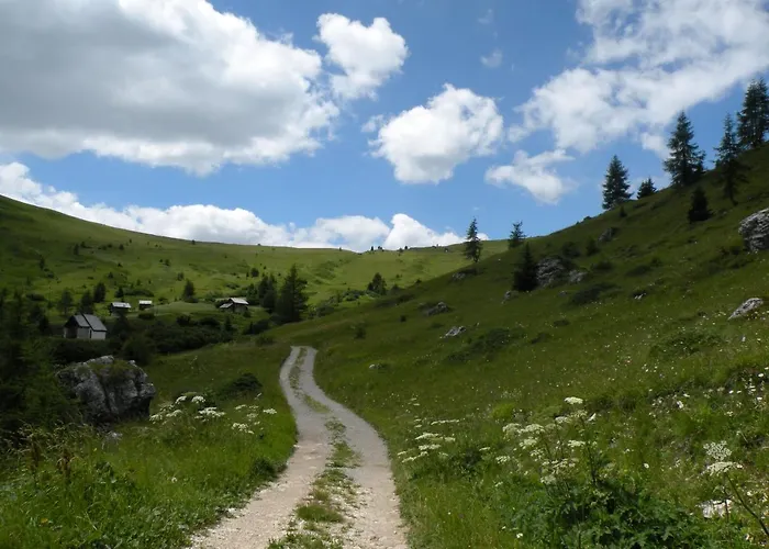 Garni Civetta Selva di Cadore